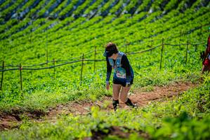 BIB: 
                            <button type="button" onclick="openModal(19162978)" class="btn btn-primary btn-sm float-right btn-popup" data-toggle="modal" data-target=".modal-high-quality">
                        <i class="fas fa-shopping-cart"></i> Add to Cart
                    </button>
                                            <button type="button" onclick="isThisMe(19162978, true)" class="btn btn-success btn-sm float-right btn-popup btn-isme hidden" data-toggle="tooltip" data-placement="bottom" title="นี่คือรูปของคุณใช่ไหม คลิกที่นี่เพื่อเอาเข้าอัลบั้ม">
                        <i class="fas fa-plus"></i> Add to album
                    </button>
                    <button type="button" onclick="isThisMe(19162978, false)" class="btn btn-warning btn-sm float-right btn-popup btn-isnotme hidden">
                        <i class="fas fa-ban"></i> Remove from album
                    </button>